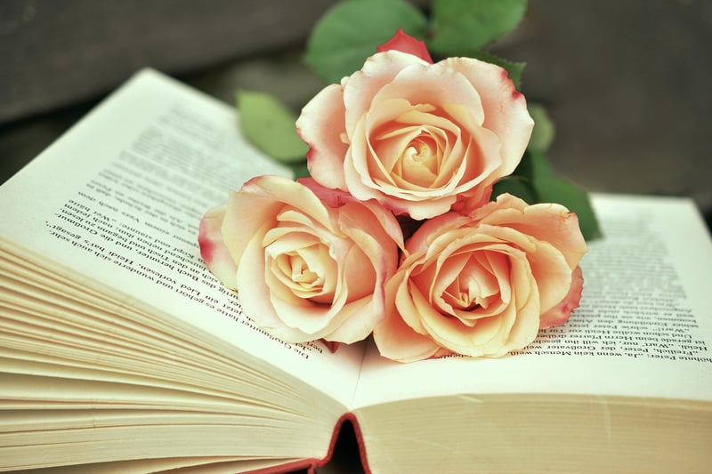 Upcycled Books and Magazines